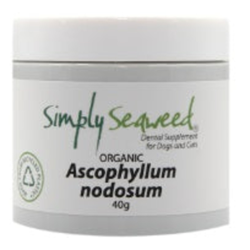 SIMPLY SEAWEED DENTAL SUPPLEMENT ASCOPHYLLUM NODOSUM 40G