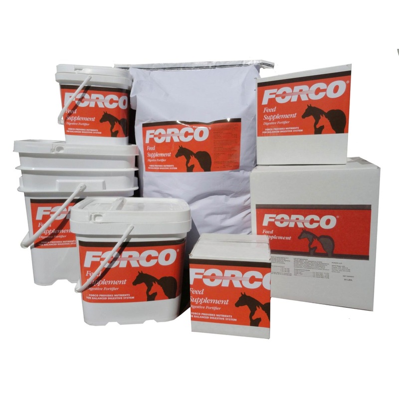 FORCO Feed Supplement Digestive Fortifier For Horses 5 Lb Pail
