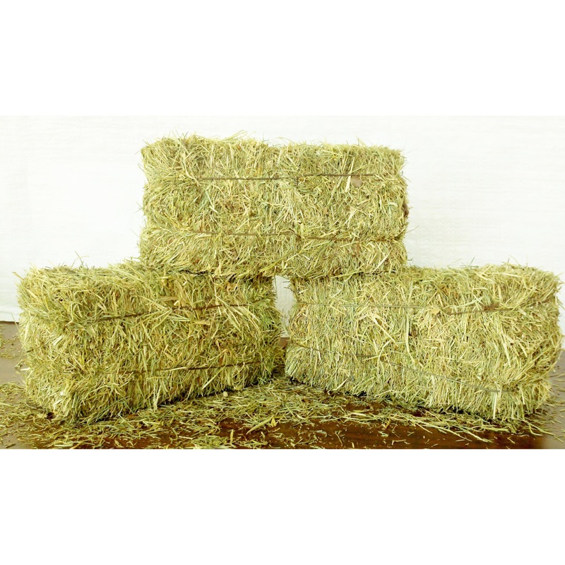 Hay Hay – PICK UP ONLY