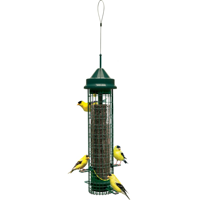 Brome Bird Care Inc Squirrel Buster Finch Bird Feeder