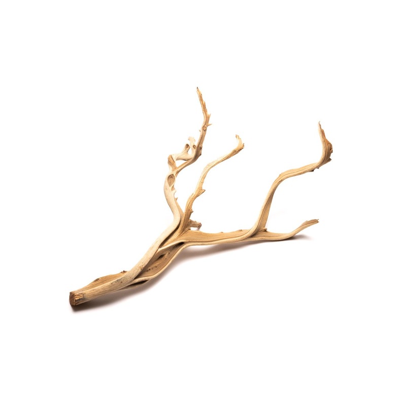 Ghost Wood Single XS