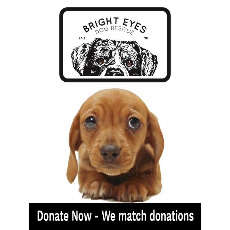 Pet Food Drive 1lb Donation – Bright Eyes Dog Rescue
