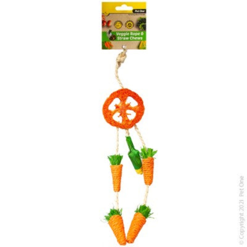 PET ONE SMALL ANIMAL VEGGIE ROPE & STRAW CHEW HANGING DREAMCATCHER
