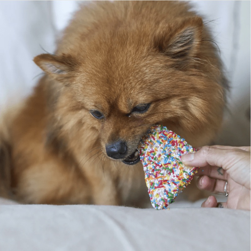 Barney’s Barkery Fairy Bread Dog Treat