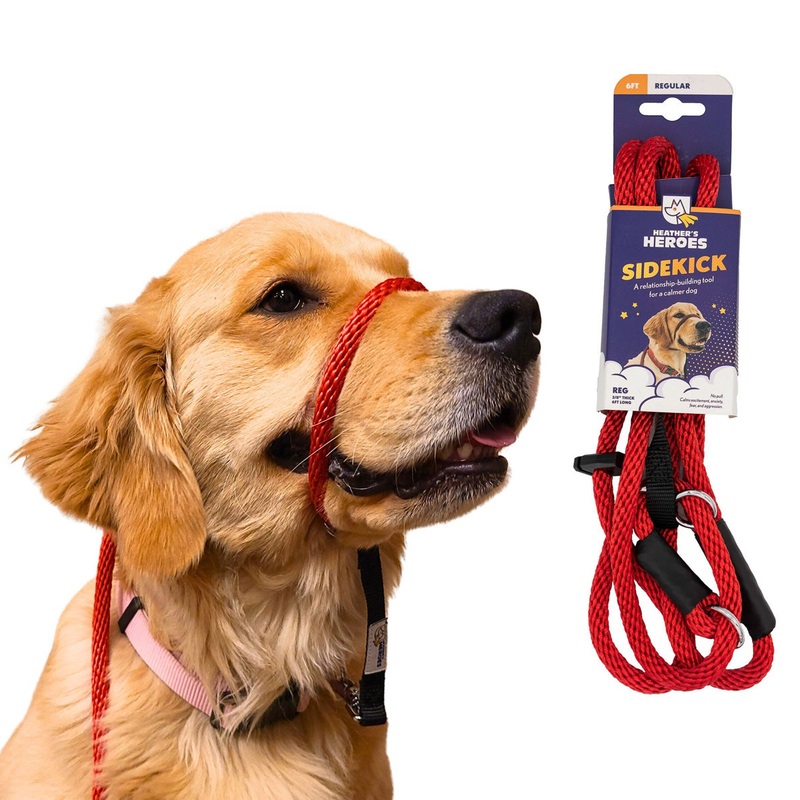 Heather’s Heroes Sidekick Regular Red Dog Leash 3/8″ x 6′