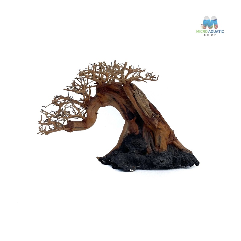 Masterpiece Bonsai Driftwood ~ 20 x 30 cm | B – 11