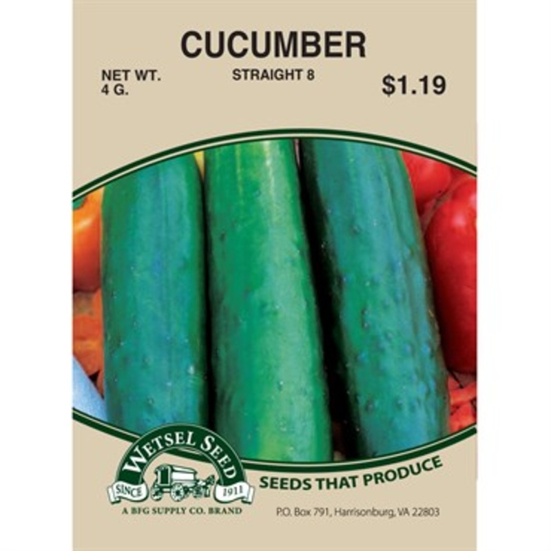 Wetsel Seed Cucumber – Straight Eight