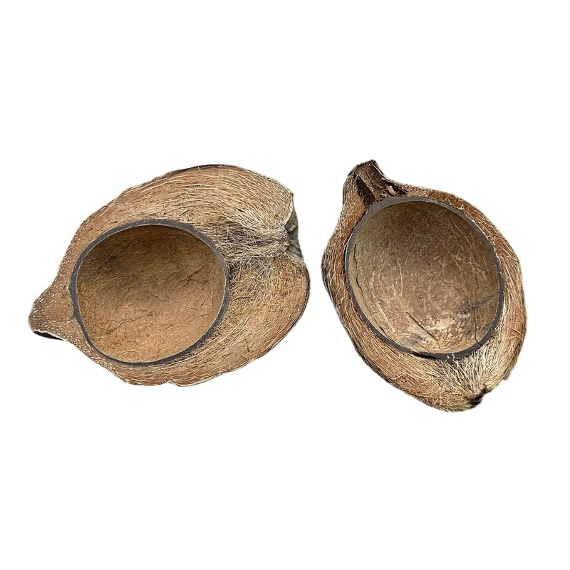 Coconut Boat