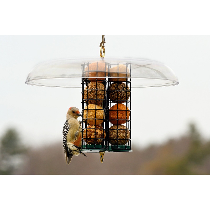 Duncraft Deluxe Seed & Suet Ball Feeder