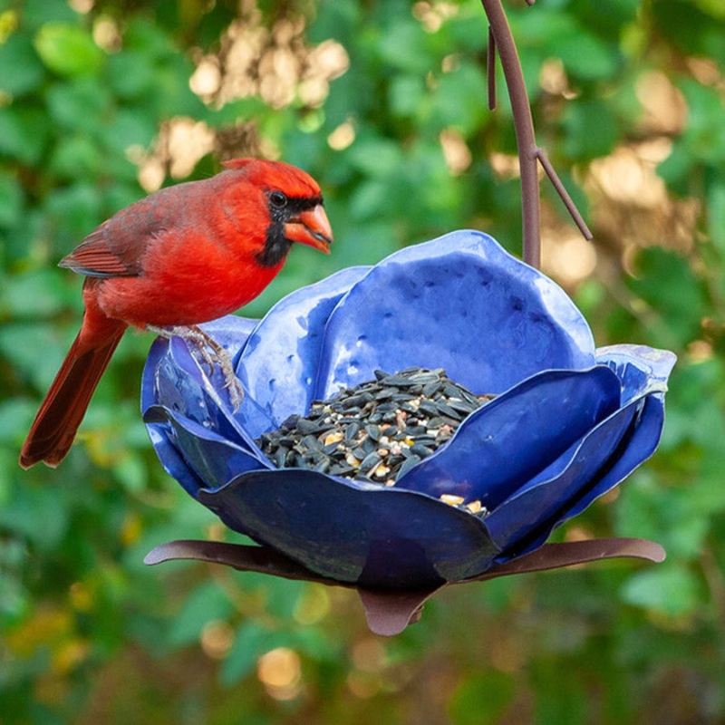 Mystic Merlin Bird Feeder