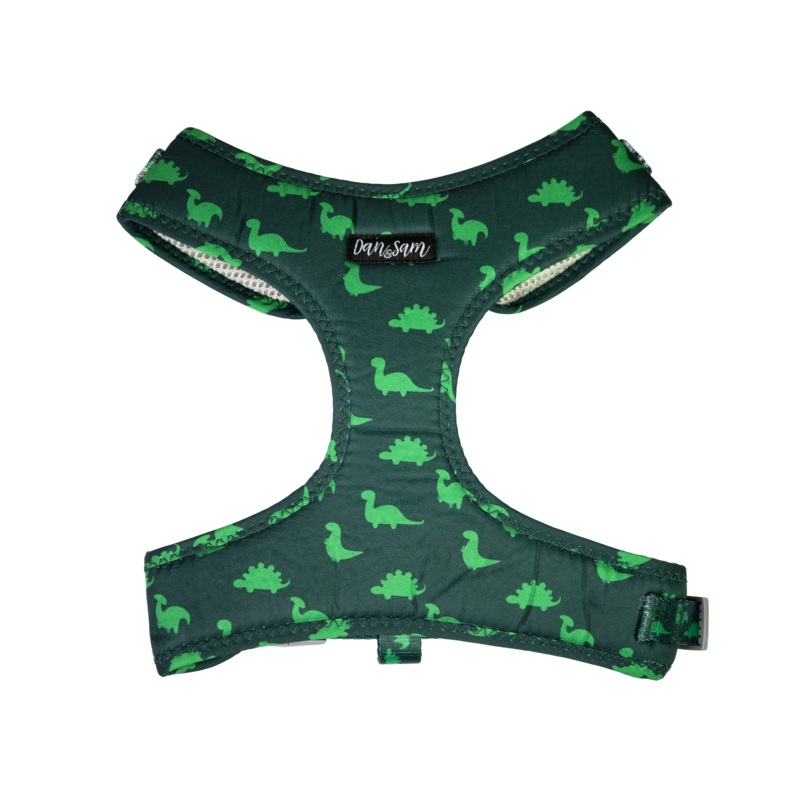 Dan & Sam – Dog Harness (Dinosaur Land) – Large Large