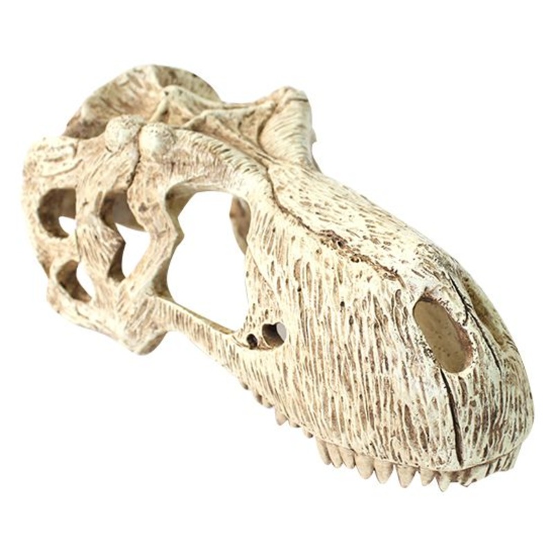 Komodo T-Rex Skull X-Large 26x11x13cm