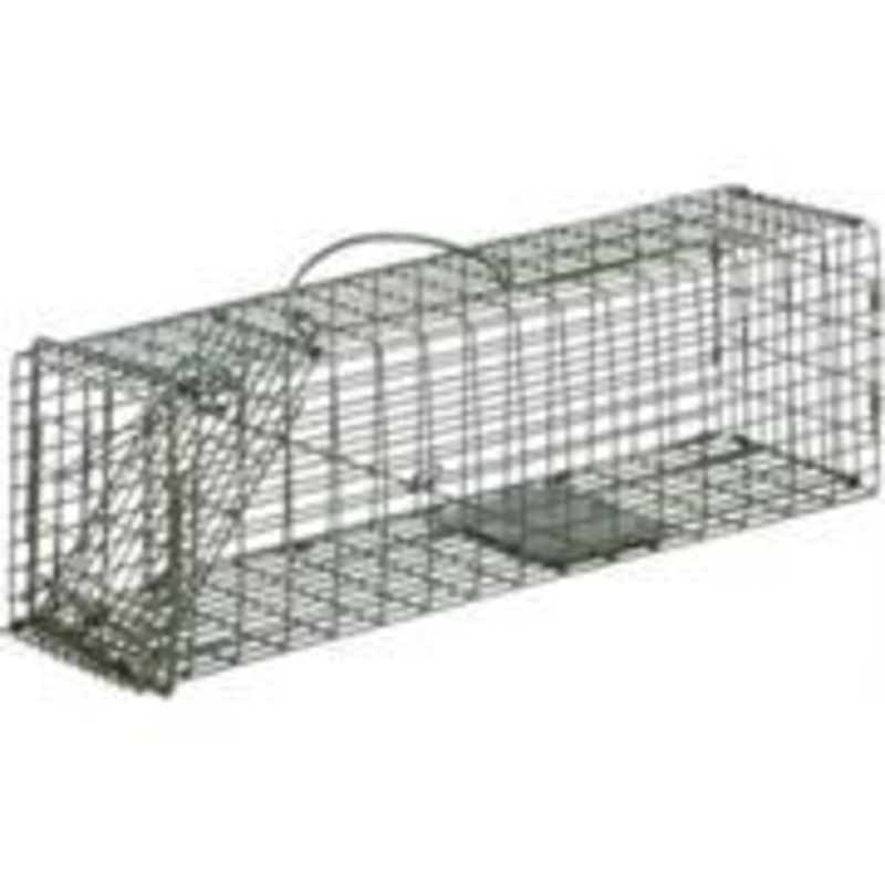 Duke # 1-1 Cage Trap