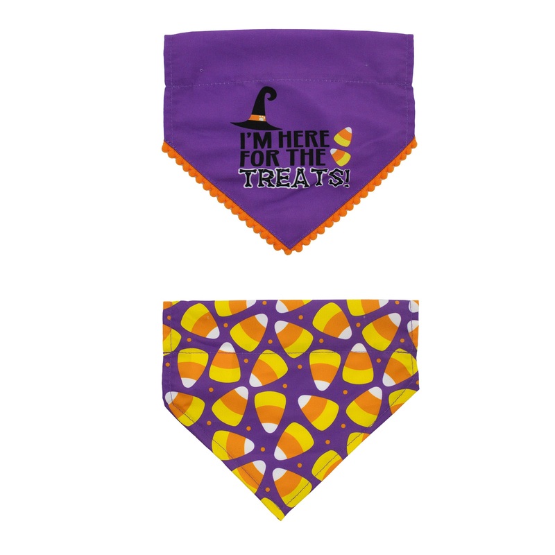 Halloween Treats Pet Bandana 2pk XS/S