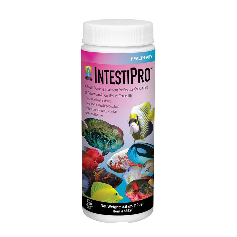 IntestiPro Multi-Purpose Fish Medication – Aquarium Solutions 3.5 oz (100g)