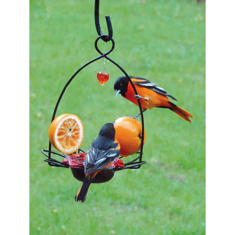 Oriole Flower Feeder