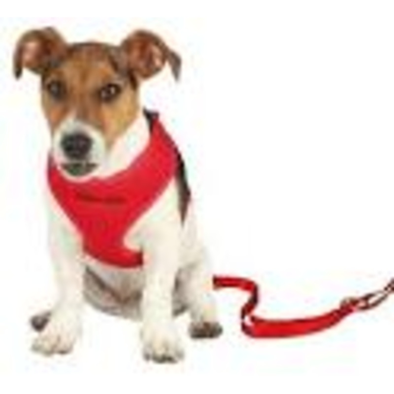 Puppy harness with lead 3347 cm/10 mm, 2.00 m, red