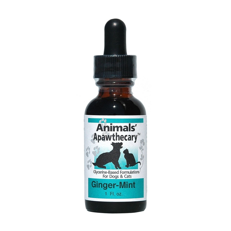 Animal Essentials Ginger/Mint Daily Digestion for Cat & Dog 1 Oz