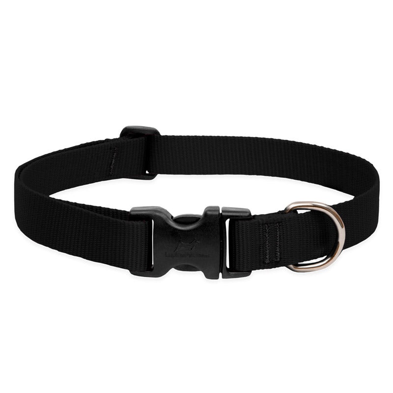 BASICS Adjustable Collar BLACK 1/2 FOR SMALL DOGS – 6″-9″