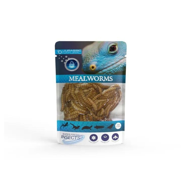 JN MEALWORM 20G SINGLE PACK