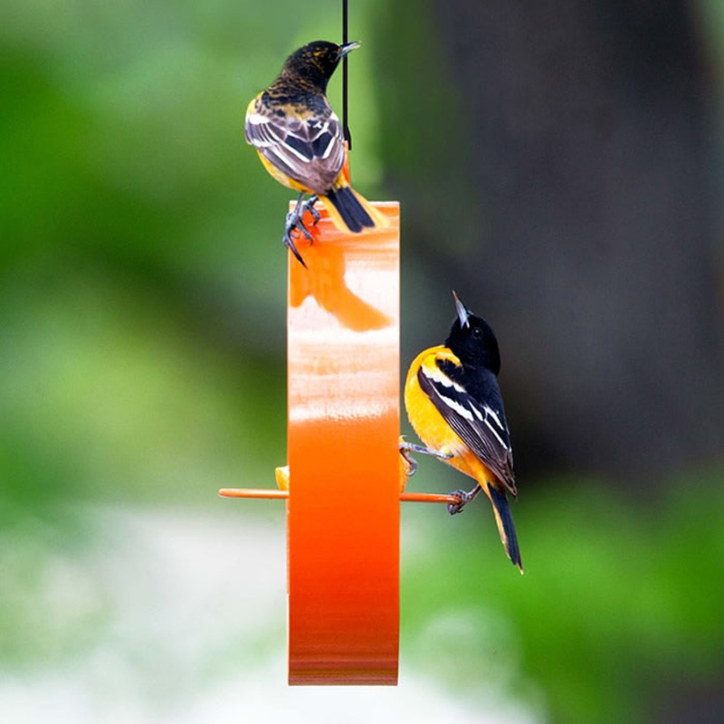 Mosaic Birds Bistro Bird Feeder, Orange