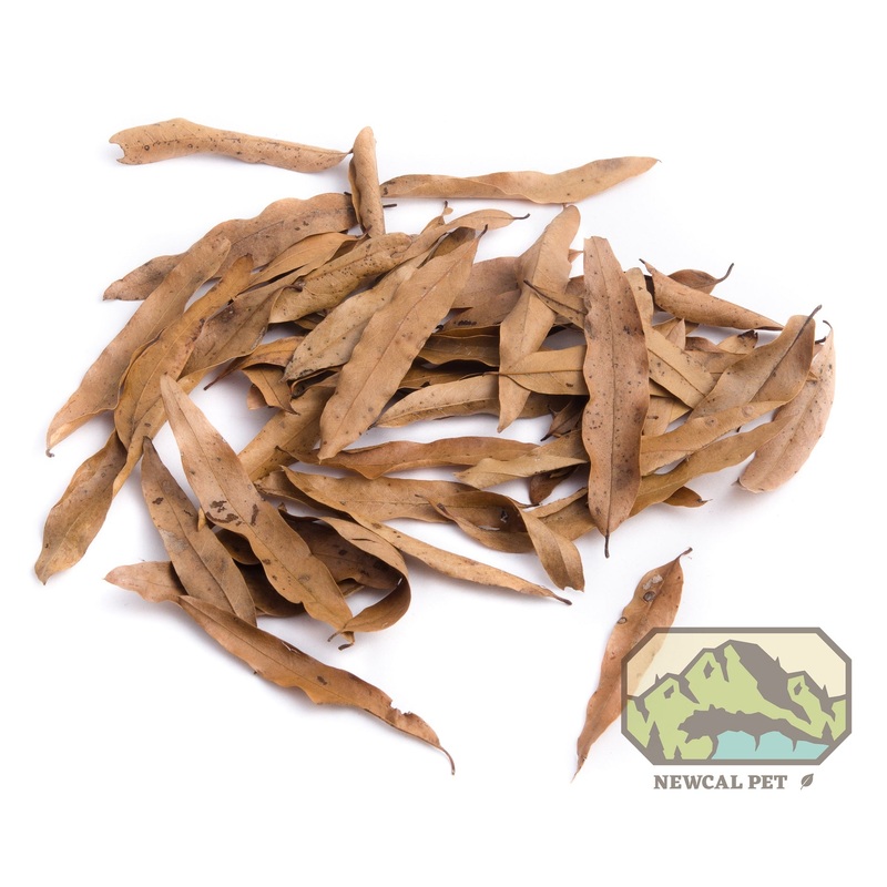 NewCal Willow Oak (Dried) 1.5oz