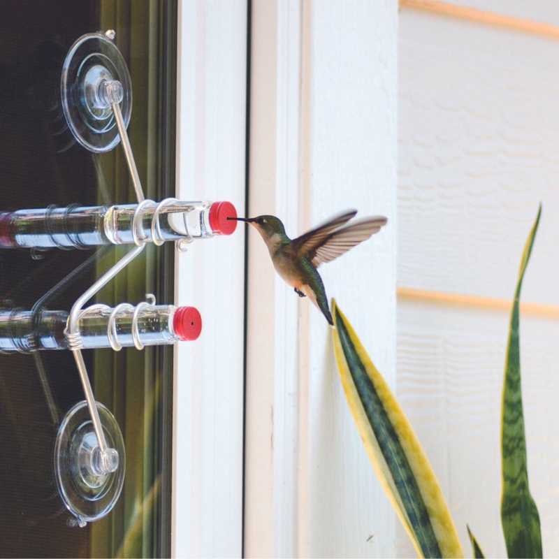 Window Hummingbird Feeder, 2 Tube Feeder