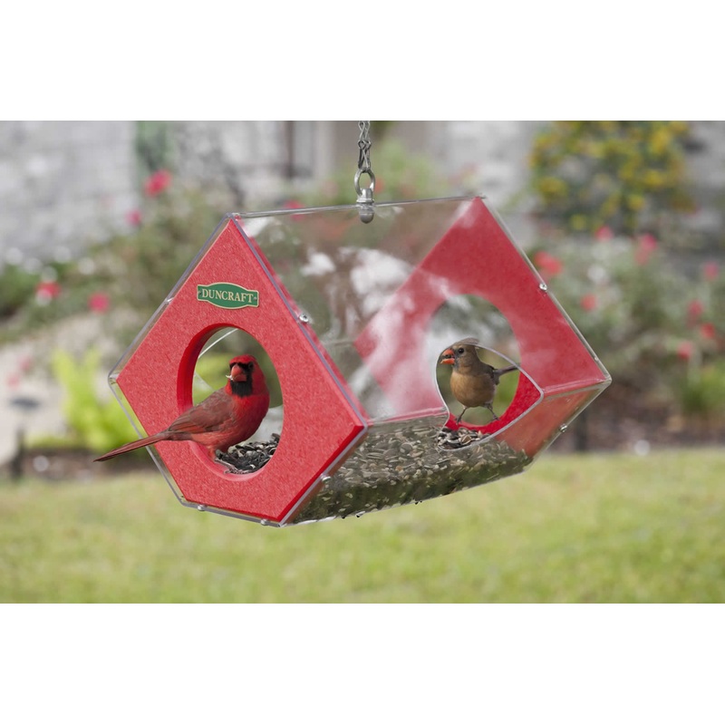 Duncraft Cardinal Fly Thru Feeder