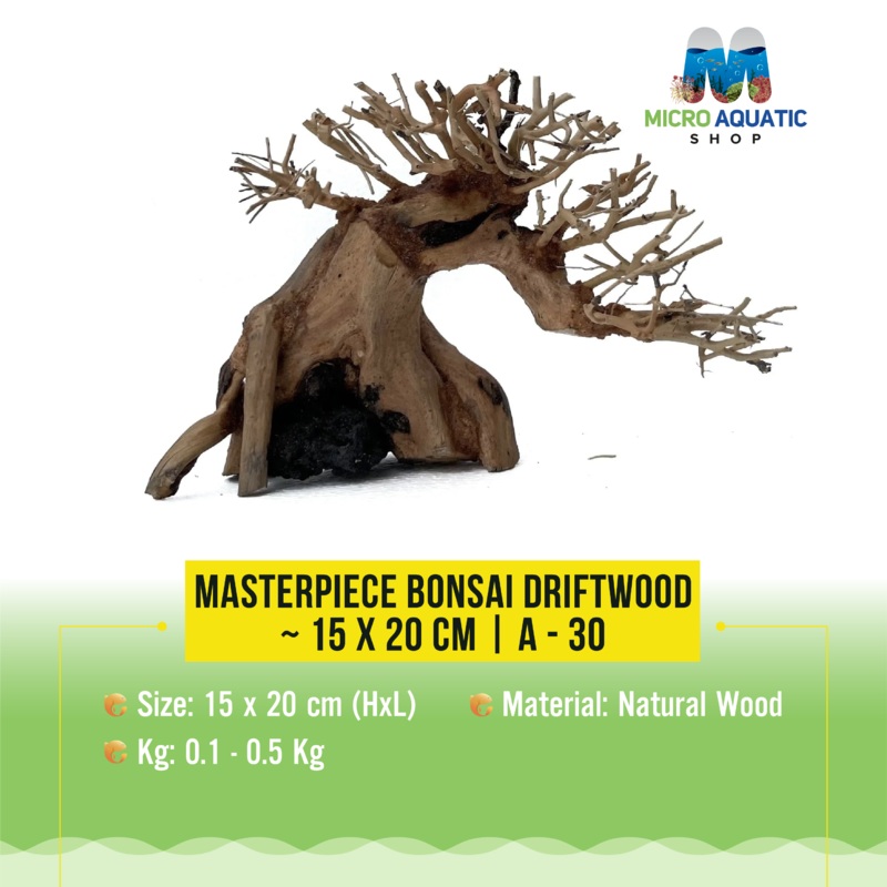 Masterpiece Bonsai Driftwood ~ 15 x 20 cm | A – 30