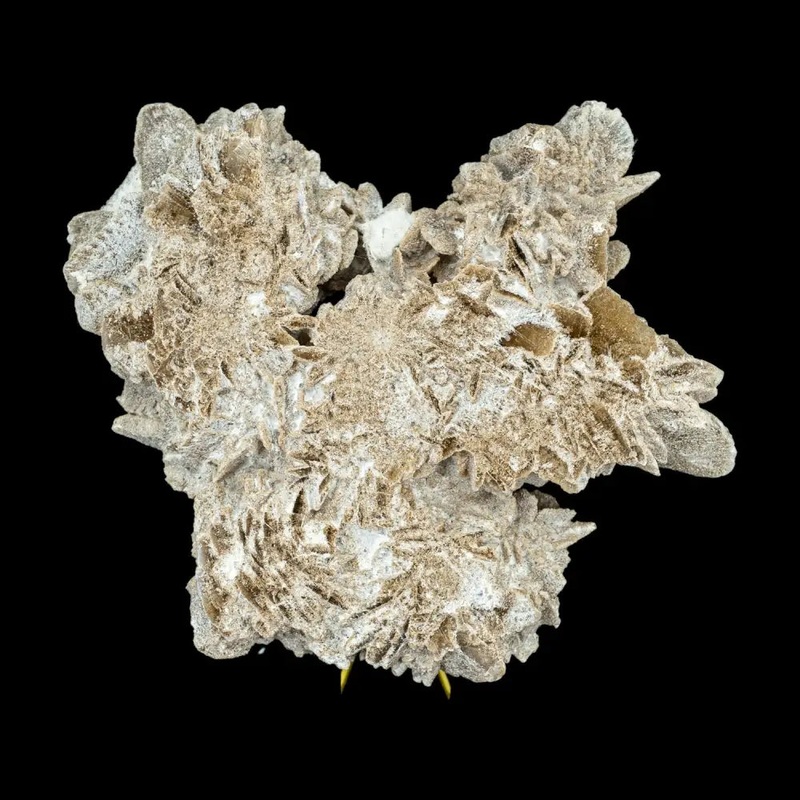 Sandrose Slab