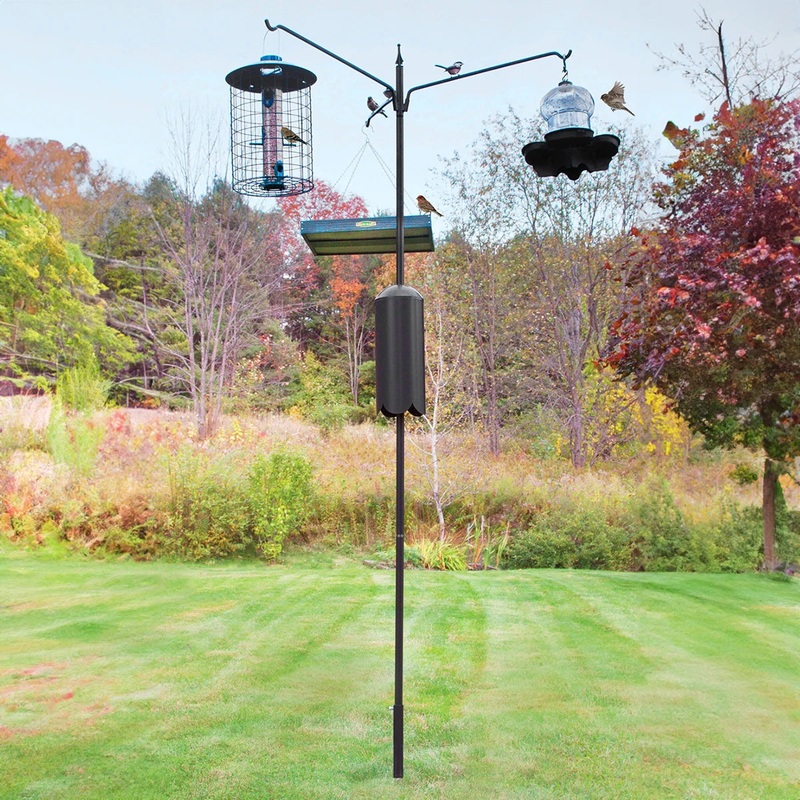 Squirrel-Proof Bird Feeding Station