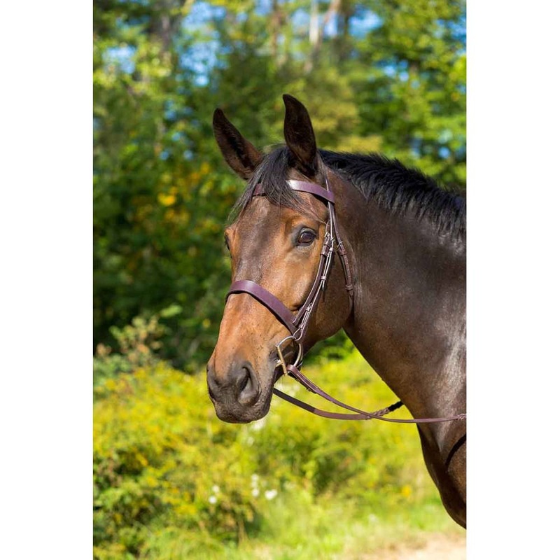 Avignon Middleburg Bridle Cob