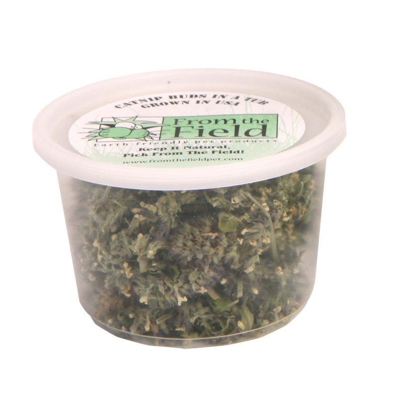 From The Field Catnip Buds In A Tub 1oz