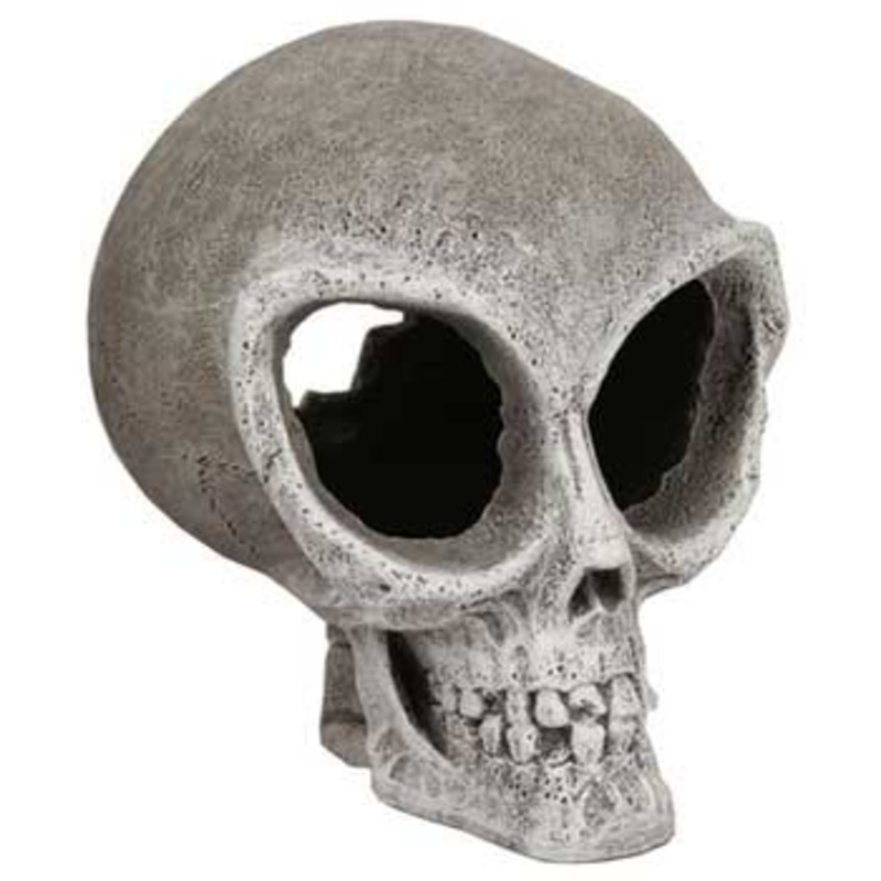 Blue Ribbon Alien Skull Small