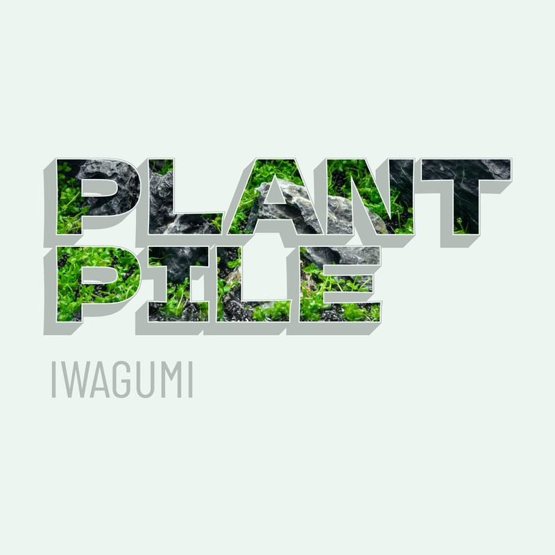 Plant Pile – Iwagumi Aquarium Plant Bundle Eleocharis Parvula ‘Mini’ NANO