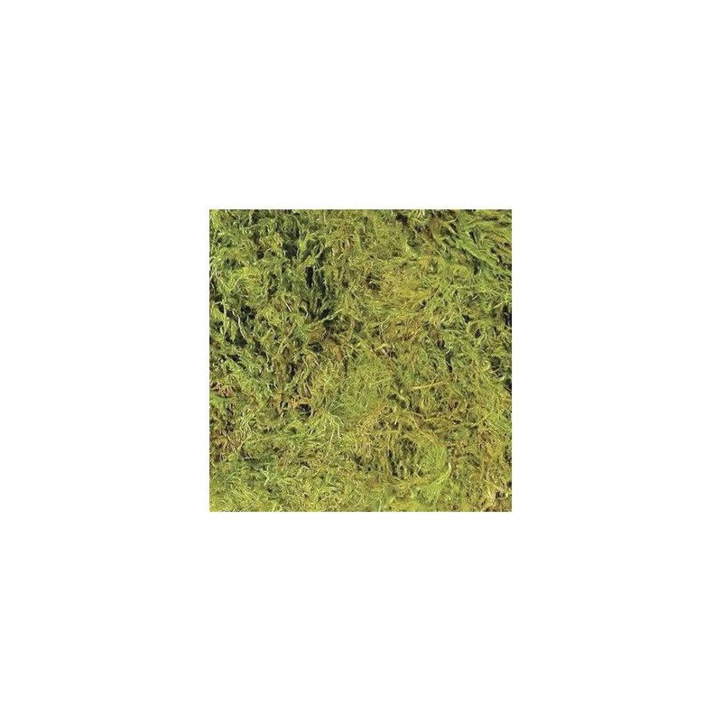 Zoo Med Terrarium Moss Large (3.28L)