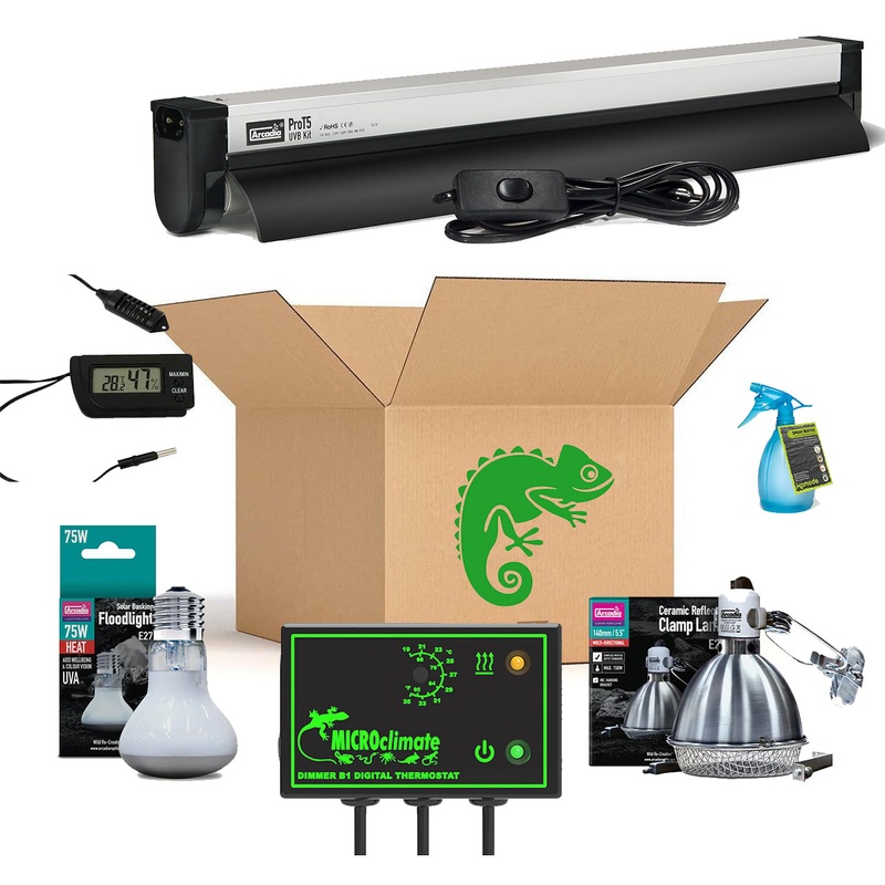 Chameleon Setup – Bronze