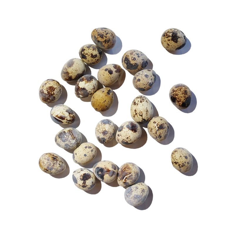 Savage Cat Dog Raw Quail Eggs 2.75 oz