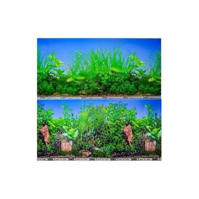 KW Zone Backscreen Picture  24 x 15M