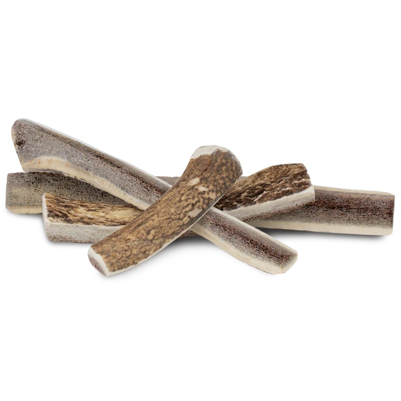 Primal Stag Antler Dog Chew 4-5″ Split