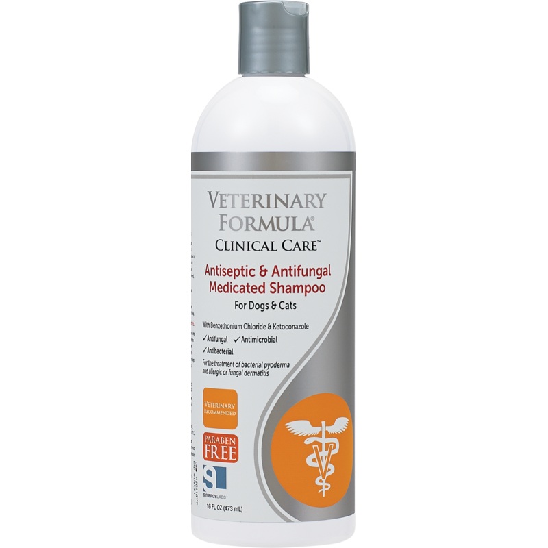 Antiseptic & Antifungal Medicated Shampoo