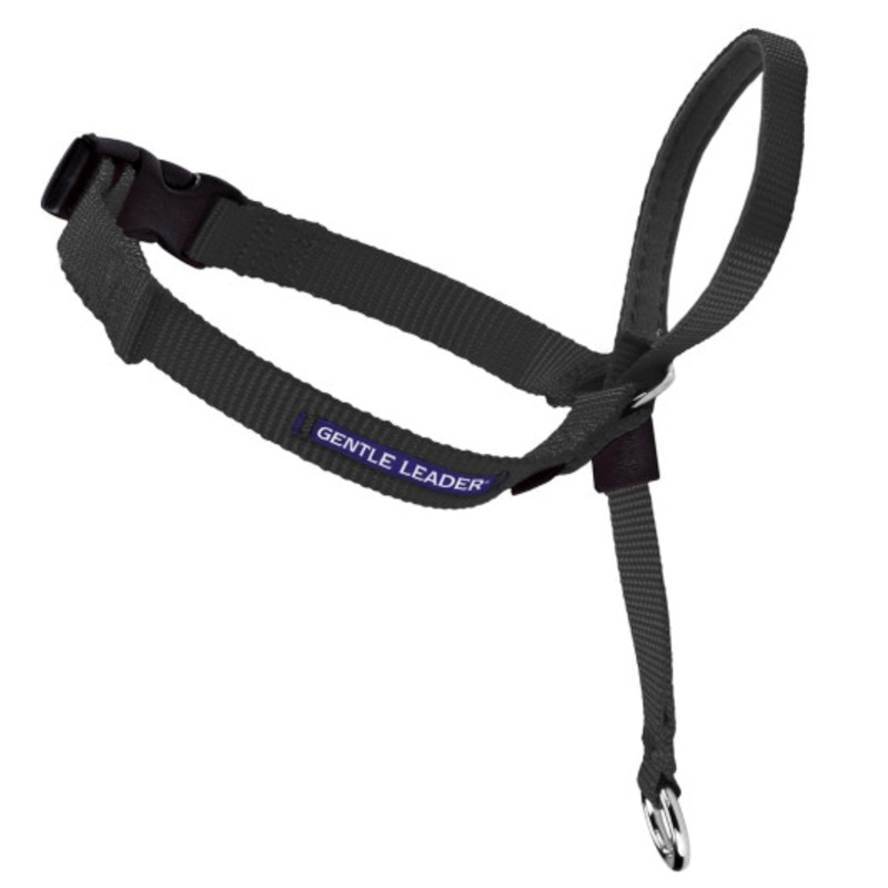 Petsafe Gentle Leader Quick Release Black Headcollar for Dogs large