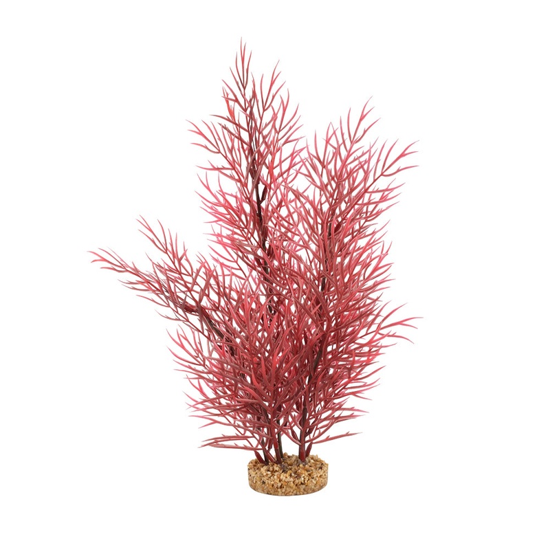Fluval Aqualife Scarlet Eichornea Plant 14 inch