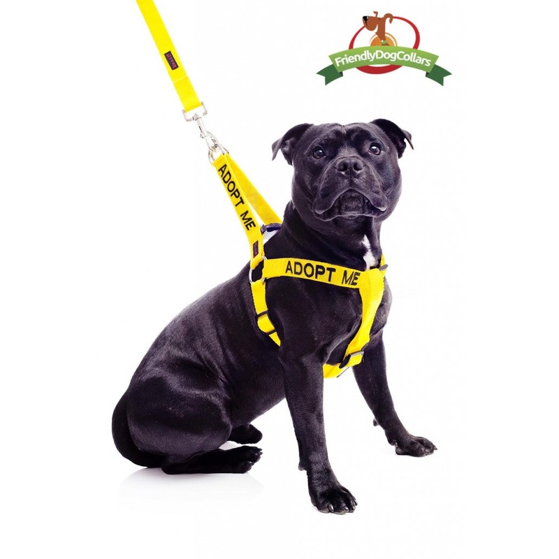 Adopt Me Strap Harness