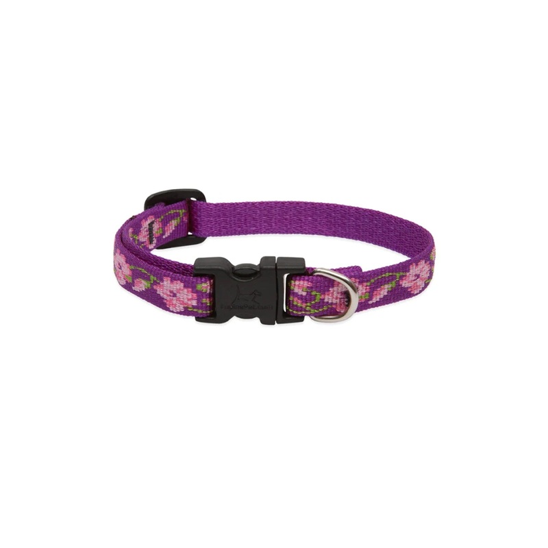LupinePet Originals Rose Garden Dog Collar 8″ to 12″