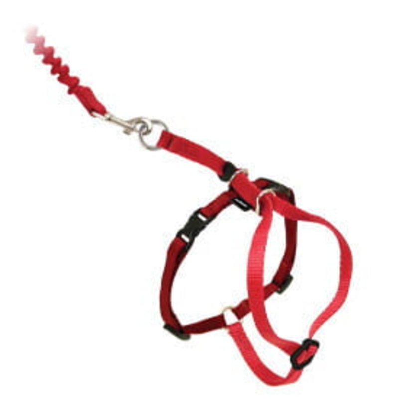 Petsafe Come with me Kitty Harness Small Red