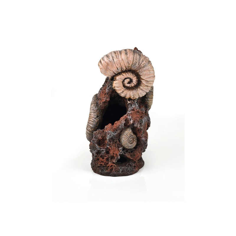 biOrb Ancient Conch Ornament Medium