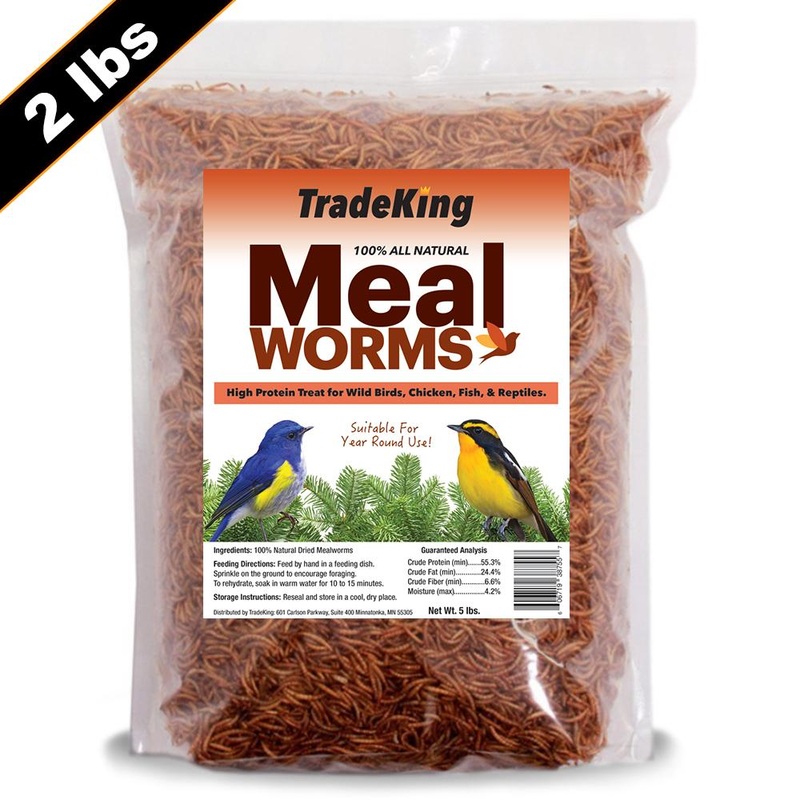 TradeKing Dried Mealworms 11 Lbs