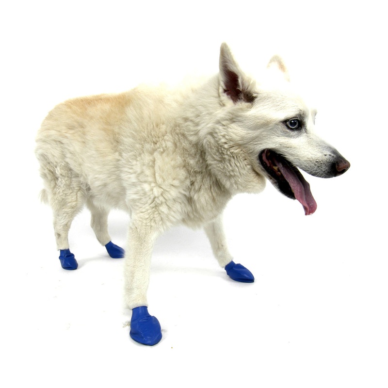 Pawz Medium Dog Boots 12 Boots/Pack Blue Color