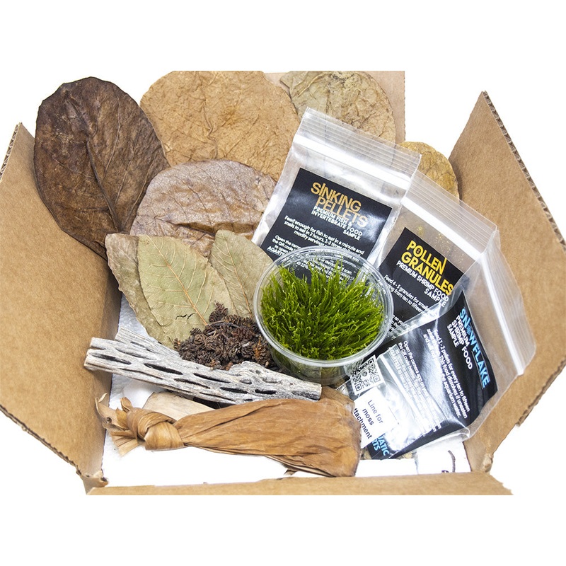 Bred By Aquatic Arts Planted Neocaridina Shrimp Combo Box (Neocaridina davidi) Assorted Neocaridina Shrimp